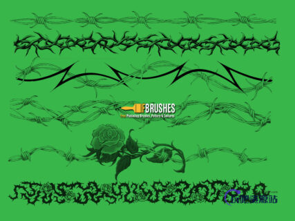 玫瑰荆棘图案PS笔刷下载-玩吧资源站