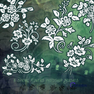 漂亮高贵的艺术植物花纹Photoshop印花笔刷下载-玩吧资源站