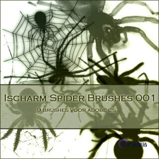 真实的毒蜘蛛Photoshop笔刷素材-玩吧资源站