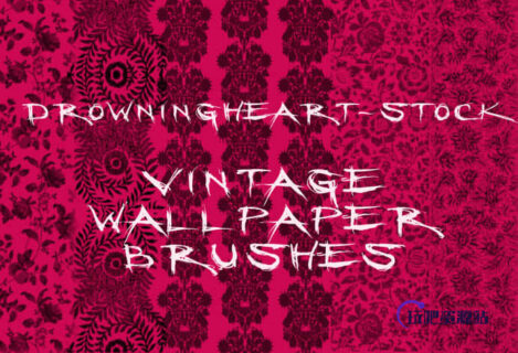 古典印花图案PS墙壁花纹笔刷-玩吧资源站