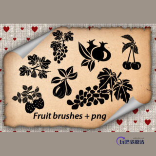 水果剪影PS笔刷下载-玩吧资源站