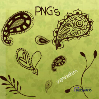 手绘佩斯利植物花纹图案PS笔刷下载-玩吧资源站