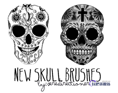 非主流花式骷髅头图案PS笔刷下载-玩吧资源站