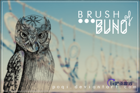 手绘花式猫头鹰图案PS笔刷素材下载-玩吧资源站