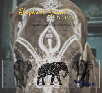 非主流花式大象图案PS美图笔刷-玩吧资源站