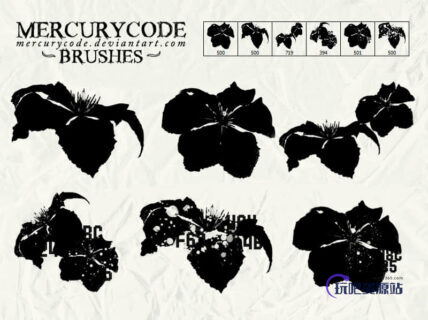 花朵、花瓣剪影PS笔刷下载-玩吧资源站