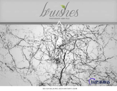 裂纹、皲裂效果开裂纹理Photoshop笔刷素材-玩吧资源站
