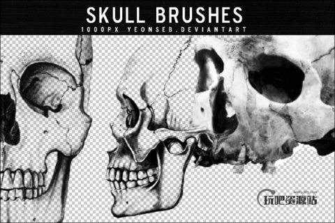 人体骷髅头、头颅骨头PS笔刷素材下载-玩吧资源站