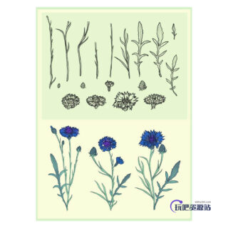 手绘矢车菊花纹图案PS笔刷下载-玩吧资源站