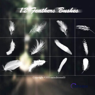 洁白圣洁天使羽毛Photoshop笔刷素材-玩吧资源站