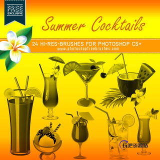 24个高分辨率鸡尾酒杯PS笔刷下载-玩吧资源站