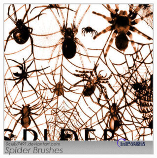恐怖蜘蛛PS笔刷素材下载-玩吧资源站