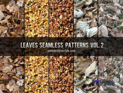 5种落叶、枯叶效果Photoshop背景填充素材下载-玩吧资源站