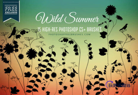 21种野葡萄藤蔓植物印花图案PS笔刷下载-玩吧资源站