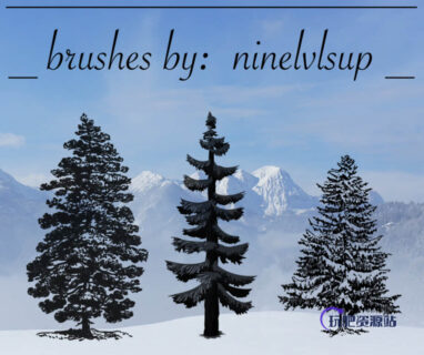 3种松树、雪松、圣诞树Photoshop笔刷下载-玩吧资源站