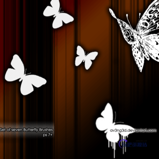 蝴蝶剪影图案PS笔刷下载-玩吧资源站