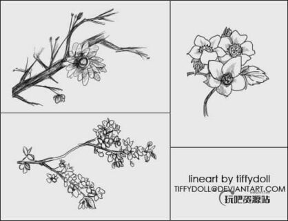 树枝上的花朵Photoshop笔刷下载-玩吧资源站