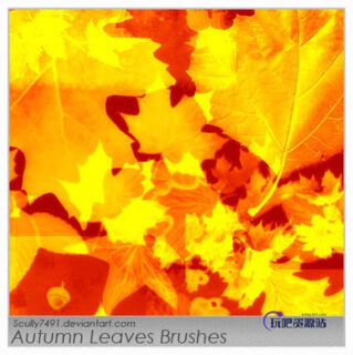 秋天的落叶、梧桐叶PS笔刷下载-玩吧资源站