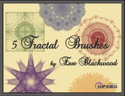 5种对称分形艺术花纹图案PS笔刷下载-玩吧资源站