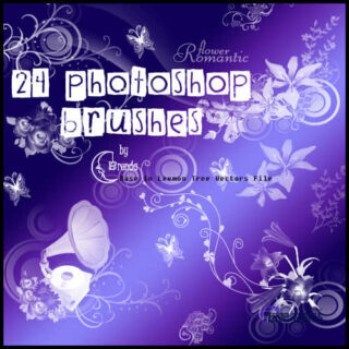 时尚兰花动感背景装饰PS笔刷下载-玩吧资源站
