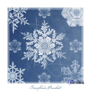 仿真冰晶、雪花图案Photoshop笔刷素材下载-玩吧资源站