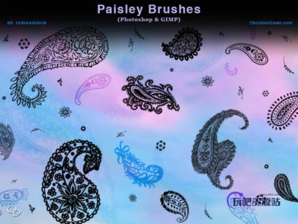 精美佩斯利花纹图案PS笔刷下载-玩吧资源站