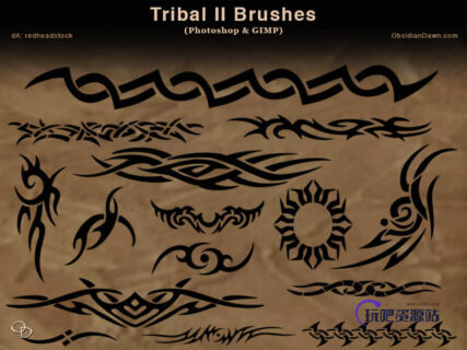 漂亮的炫艳纹身刺青PS笔刷下载-玩吧资源站