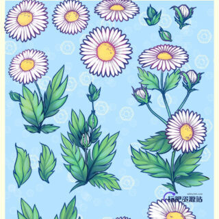 漂亮的手绘鲜花图案、野花Photoshop笔刷下载-玩吧资源站