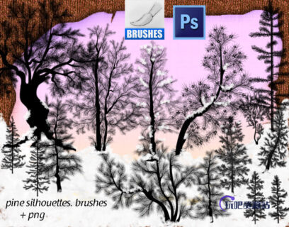 松树、雪松、圣诞树Photoshop树木笔刷-玩吧资源站
