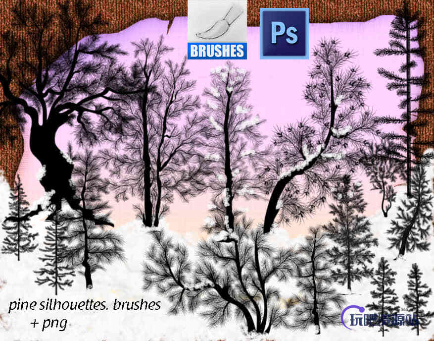松树、雪松、圣诞树Photoshop树木笔刷