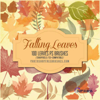 100+树叶、叶子图形Photoshop笔刷下载-玩吧资源站