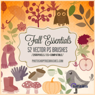 50个秋天元素卡通图形饰品Photoshop笔刷素材下载-玩吧资源站