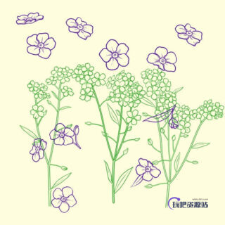 漂亮的手绘鲜花图案Photoshop花朵笔刷-玩吧资源站