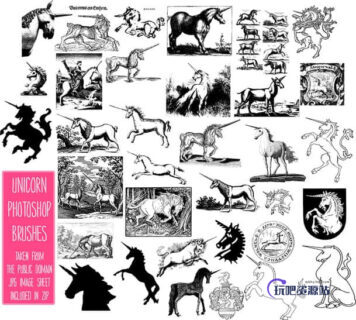 天马、独角兽图案PS笔刷下载-玩吧资源站
