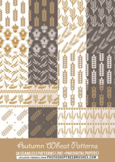 漂亮的麦穗、稻穗Photoshop背景填充素材下载-玩吧资源站