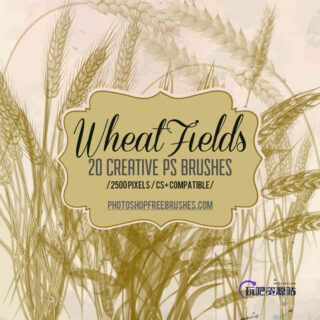20种麦田麦穗、稻田稻穗图形Photoshop笔刷免费下载-玩吧资源站