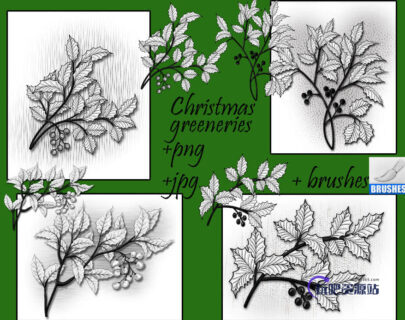 漂亮的手绘圣诞节枝叶、圣诞节饰品装饰PS笔刷下载-玩吧资源站