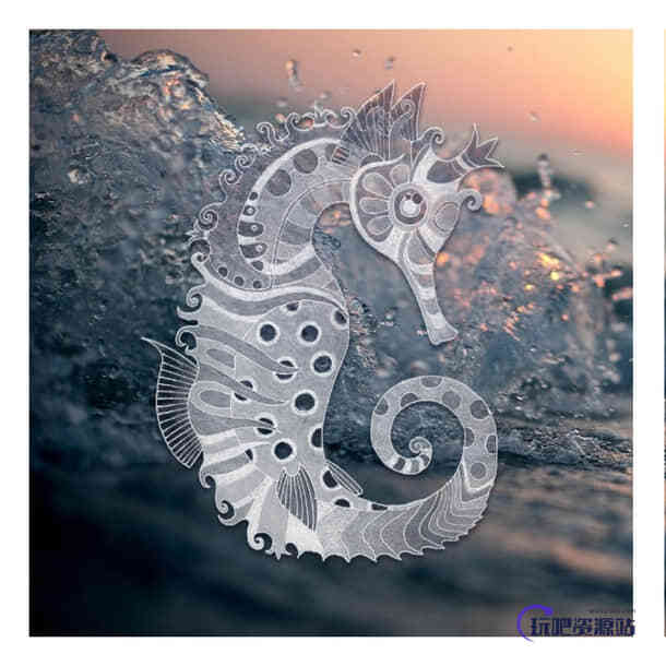 海马造型Photoshop笔刷下载