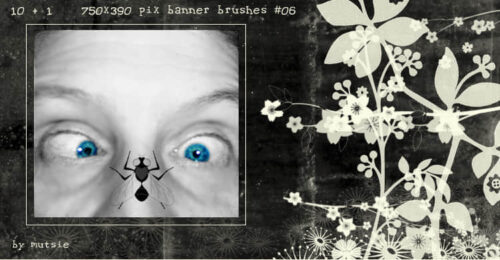 非主流相框照片背景素材Photoshop装饰笔刷-玩吧资源站