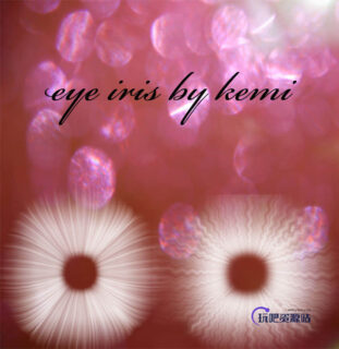 眼睛中的瞳孔、虹膜效果Photoshop笔刷素材-玩吧资源站