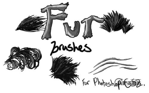 Photoshop CS2 皮毛笔触、毛发画笔PS笔刷素材下载-玩吧资源站