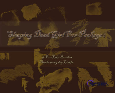 23种毛发、皮毛、头皮Photoshop笔刷下载-玩吧资源站