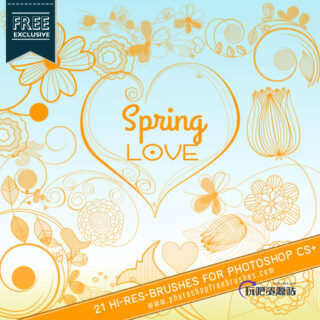 21种高分辨率印花图案、植物花纹饰品Photoshop笔刷-玩吧资源站
