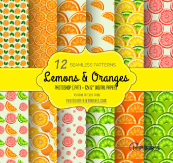 12种夏日鲜果橙图案Photoshop填充图案底纹素材 .pat 下载-玩吧资源站