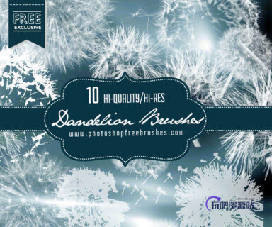 真实飞舞的蒲公英种子PS笔刷下载-玩吧资源站