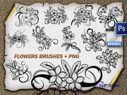 精美漂亮的手绘鲜花图案Photoshop花纹笔刷-玩吧资源站