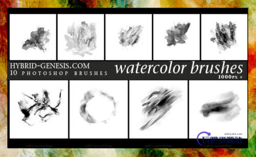 10个高清晰Photoshop水彩画笔笔刷下载-玩吧资源站