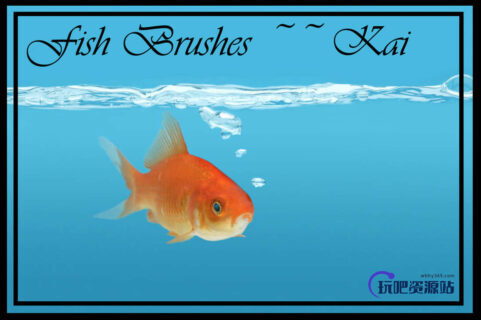 真实的金鱼缸里的金鱼Photoshop笔刷-玩吧资源站