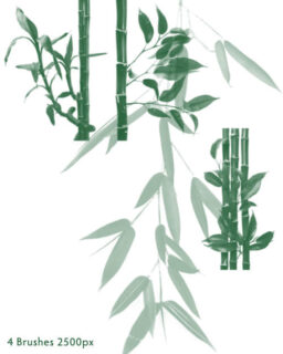 真实竹子、竹节、竹叶Photoshop笔刷素材-玩吧资源站