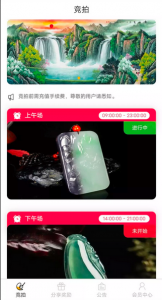 最新闪拍转拍系统/微拍堂自动挂售/转卖/竞拍商城系统/ h5/App源码-玩吧资源站